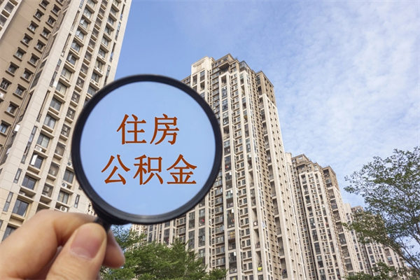 海安离职可以取出公积金吗（离职可以取公积金嘛）